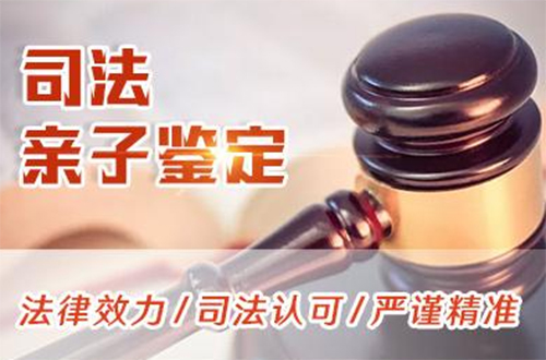 德宏司法亲子鉴定流程,德宏司法亲子鉴定中心