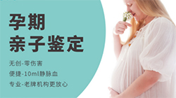 在[德宏]怀孕了要如何办理亲子鉴定，德宏产前亲子鉴定大概收费