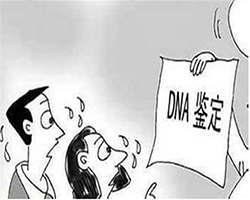 德宏医院办理亲子鉴定需要的样本有什么，德宏医院做亲子鉴定出结果要多久