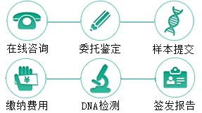 德宏同父异母半同胞鉴定