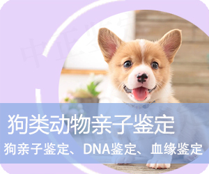 德宏狗类动物亲子鉴定