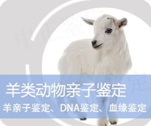 德宏羊类动物亲子鉴定