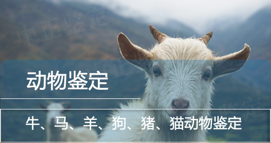 德宏动物鉴定