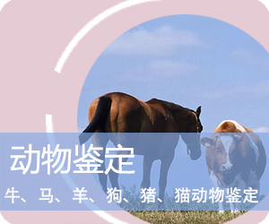 德宏动物鉴定