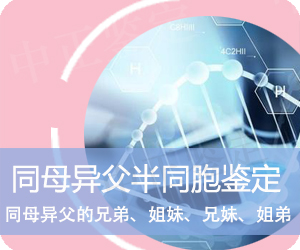 德宏同母异父半同胞鉴定