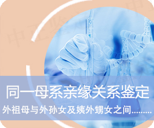 德宏同一母系亲缘关系鉴定