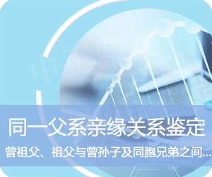 德宏同一父系亲缘鉴定